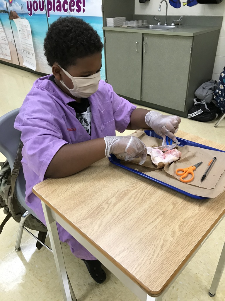 Dissecting Chicken Wings